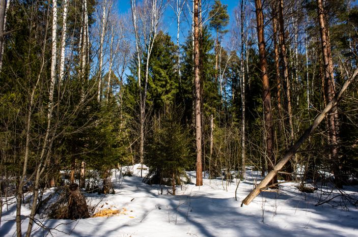 Заброшенное село Шатур