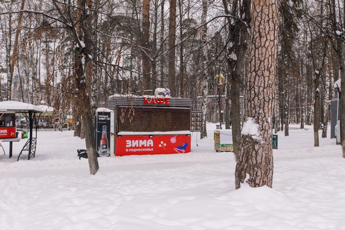 Центральный парк культуры и отдыха в Ногинске зимой