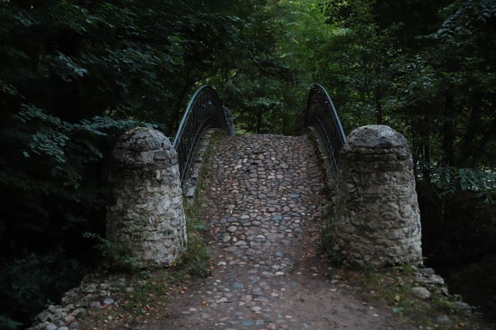 Кузьминский лесопарк