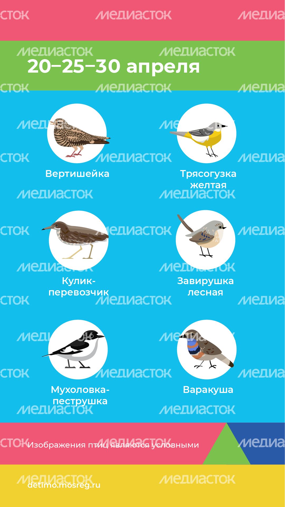 весна летит - вертикаль - 07