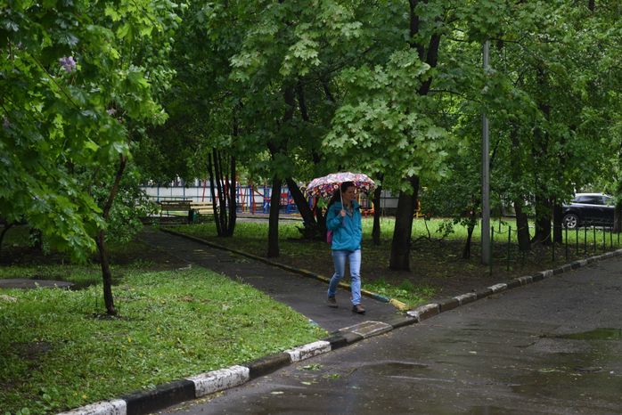 Последствия урагана в московском регионе