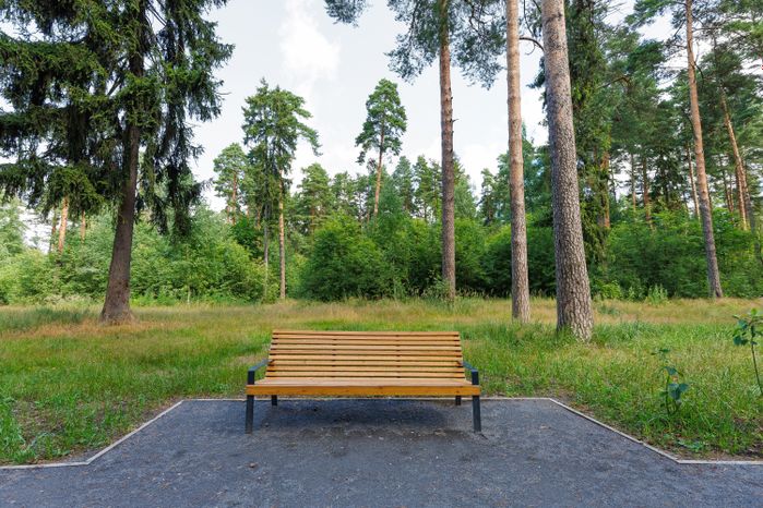 Лесопарк «Стрелки» в Орехово-Зуево летом