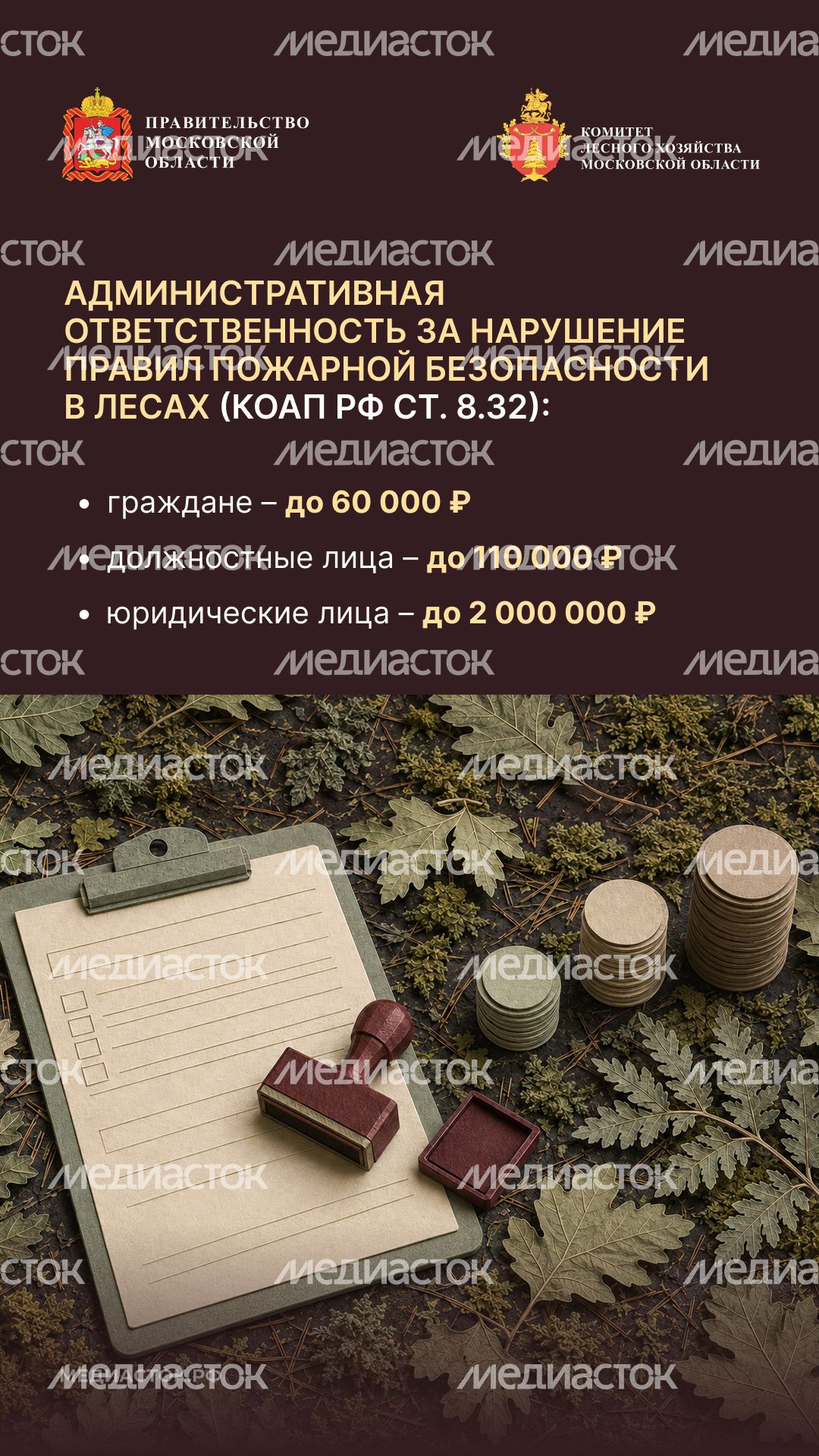 Живете рядом с лесом вертикаль 05
