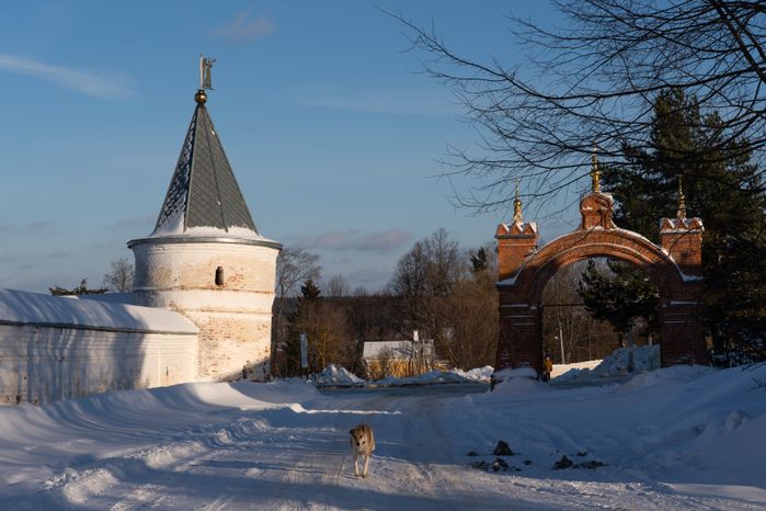 Лужецкий Ферапонтов мужской монастырь