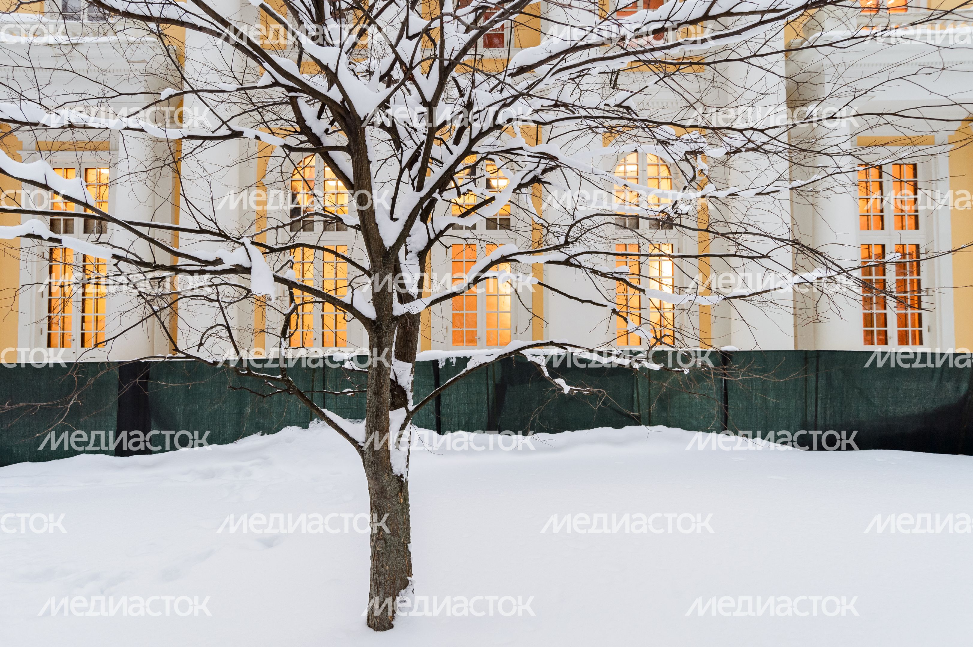 Красногорск. Усадьба «Архангельское». Зима Красногорск. Усадьба «Архангельское». Зима