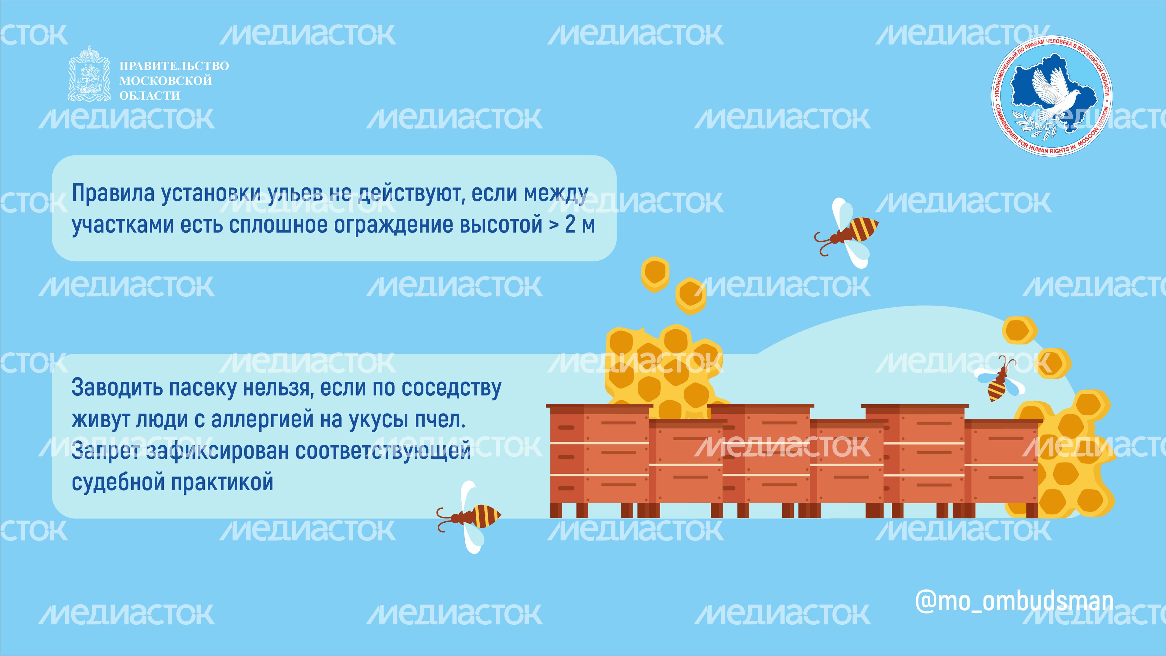Горизонталь Вопрос-ответ. Пчеловодство-04.jpg
