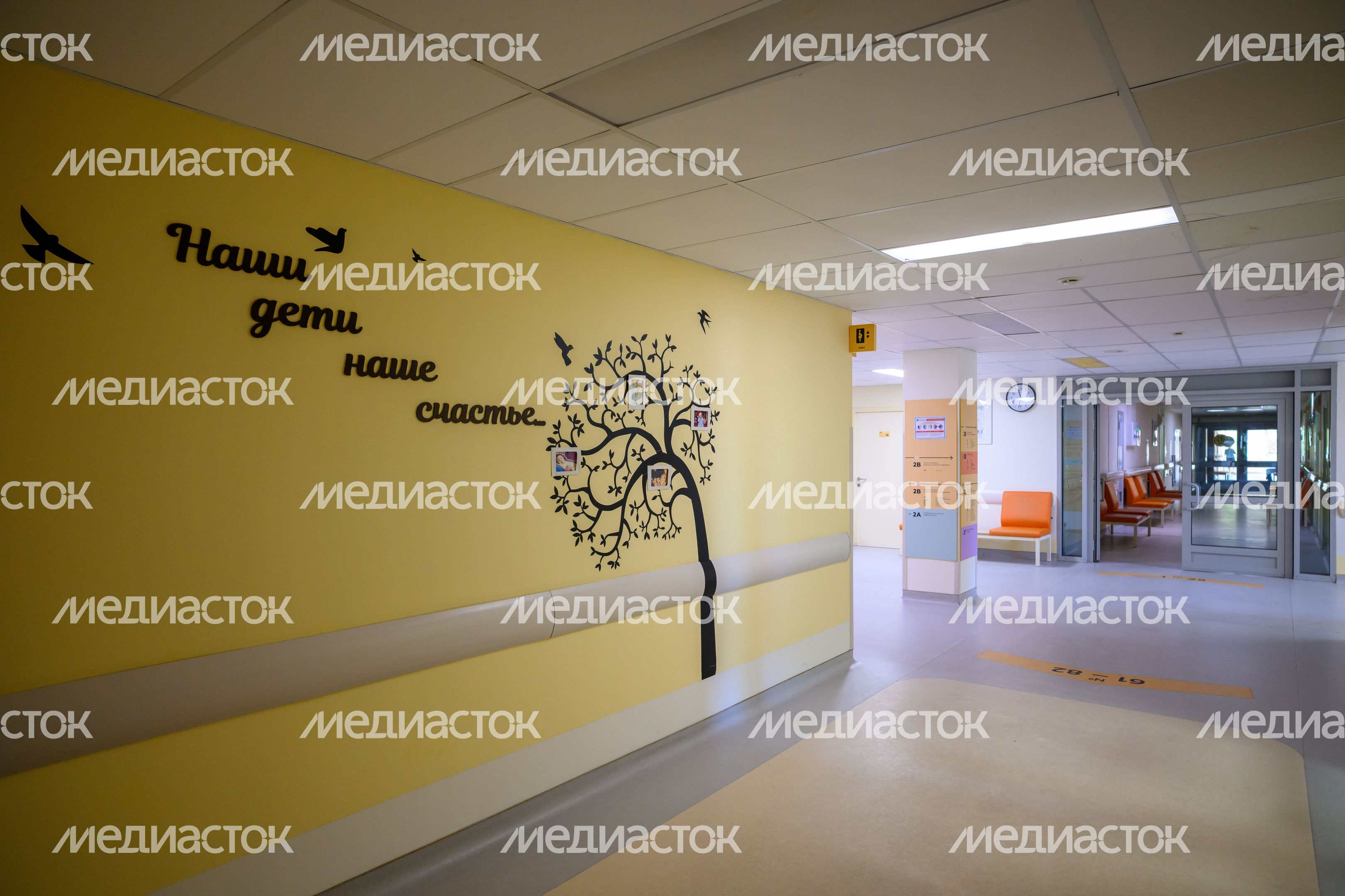 Консультационно-диагностический центр в Щелковском перинатальном центре Консультационно-диагностический центр в Щелковском перинатальном центре