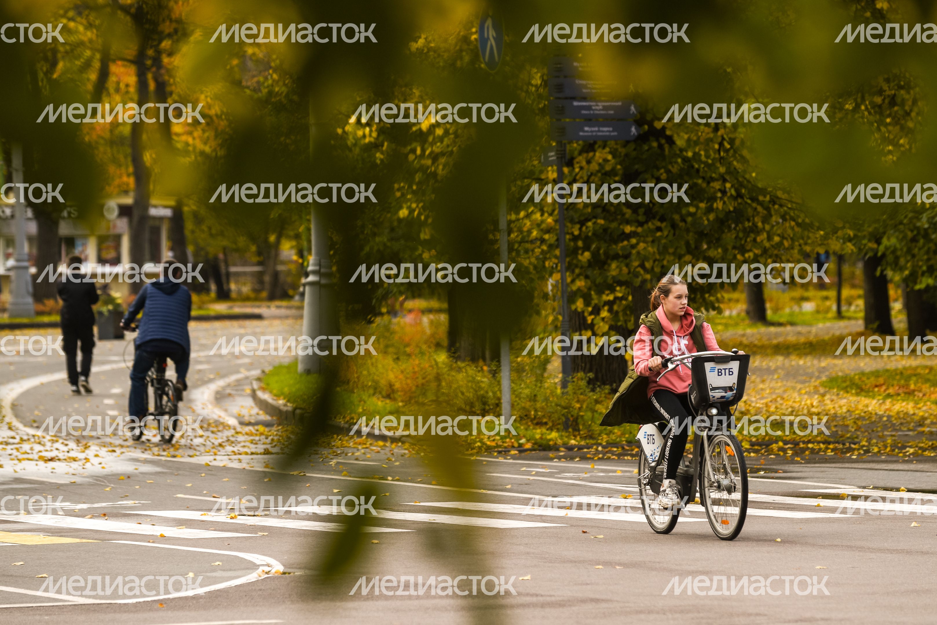 Золотая осень в парке «Сокольники»