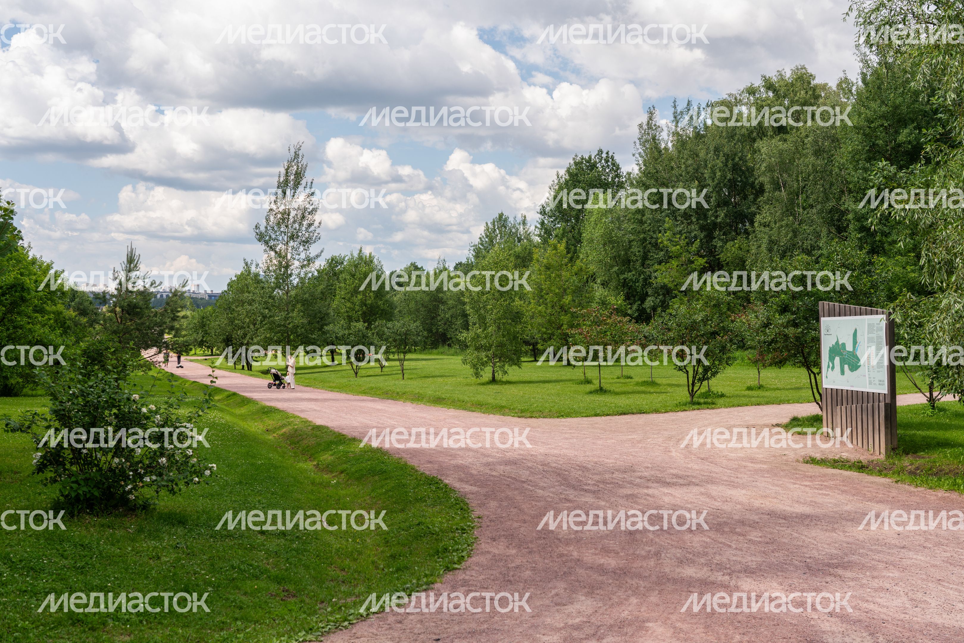 Мещерский парк летом