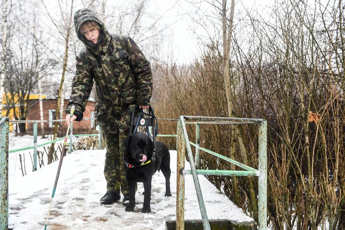 Школа собак‑проводников в Подмосковье