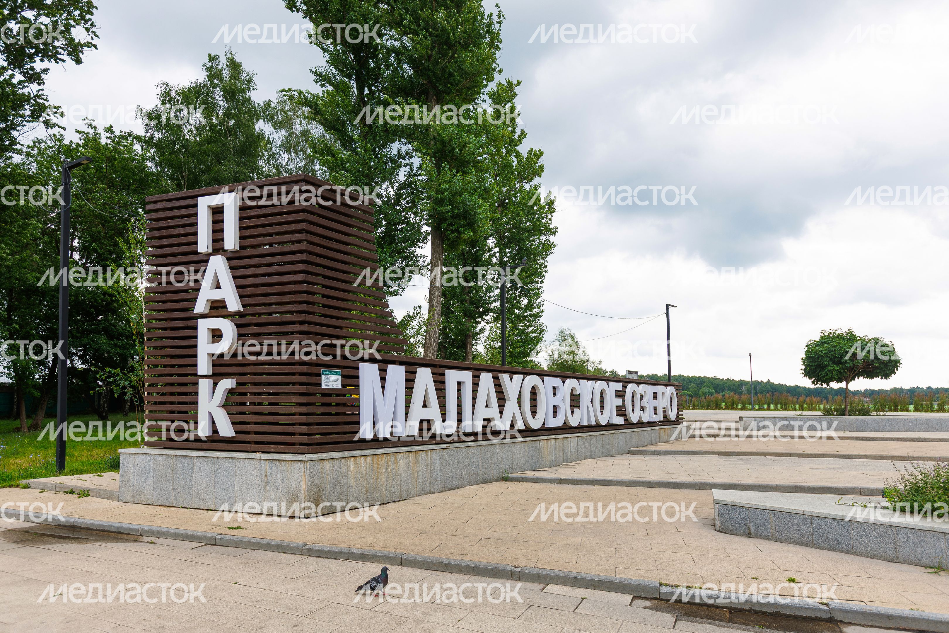 Лето в парке «Малаховское озеро» в Люберцах