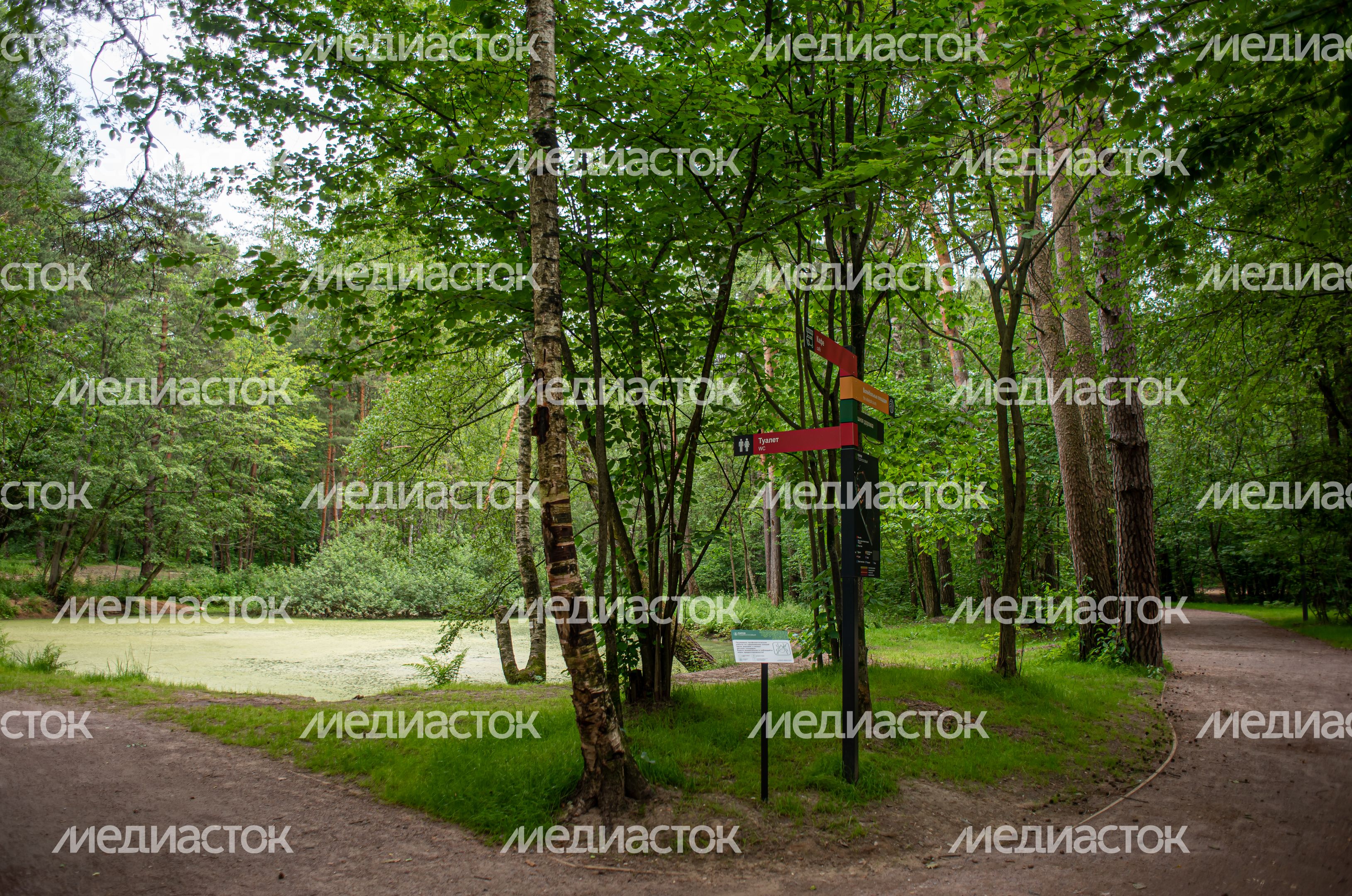 Летние виды Парка Малевича