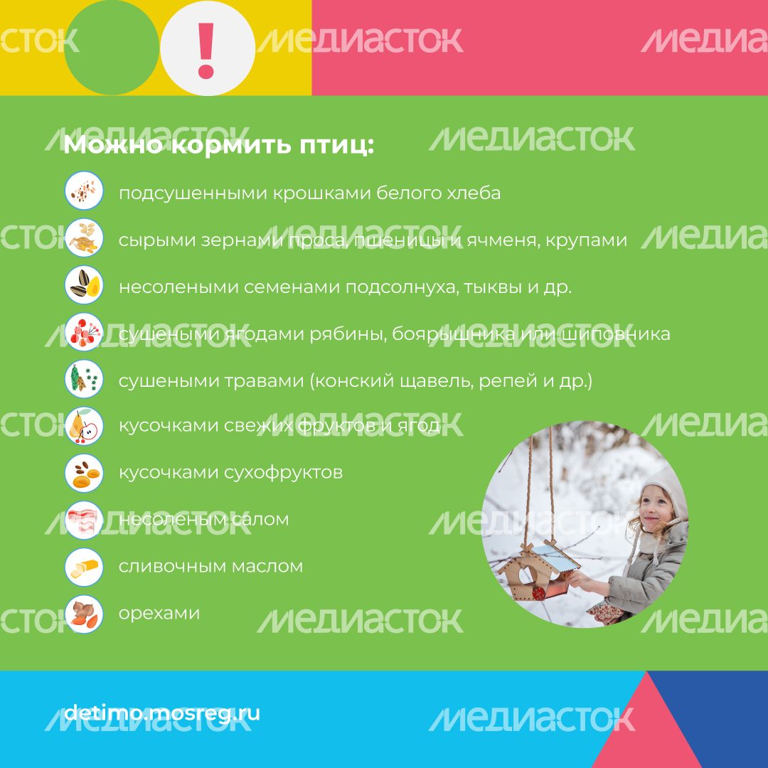 синичкин_день_квадрат_04.jpg