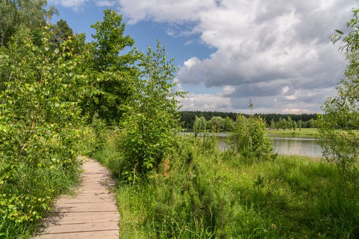 Мещерский парк летом