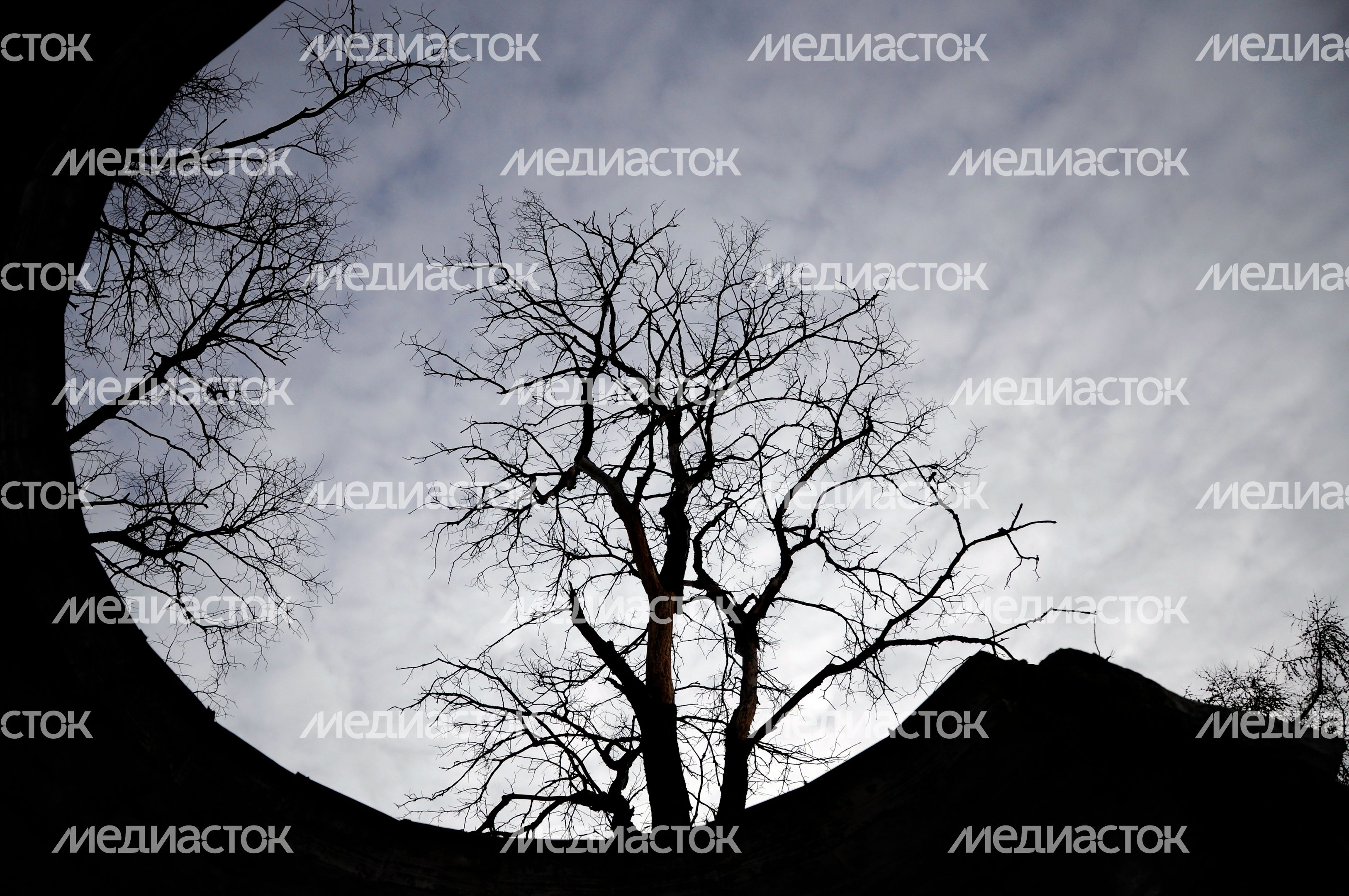 Усадьба Архангельское