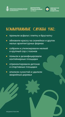 Субботник в Подмосковье 2026 Вертикаль 03