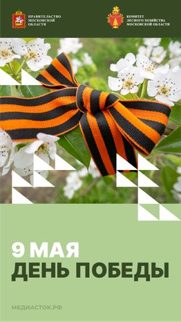 Открытка 9 мая 2026 1 Вертикаль 01