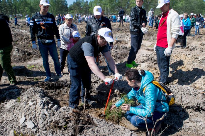 Акция «Лес Победы» в Раменском районе