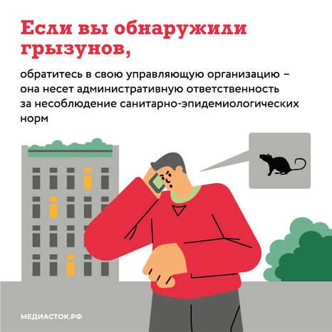 Крысы в МКД квадрат (6)
