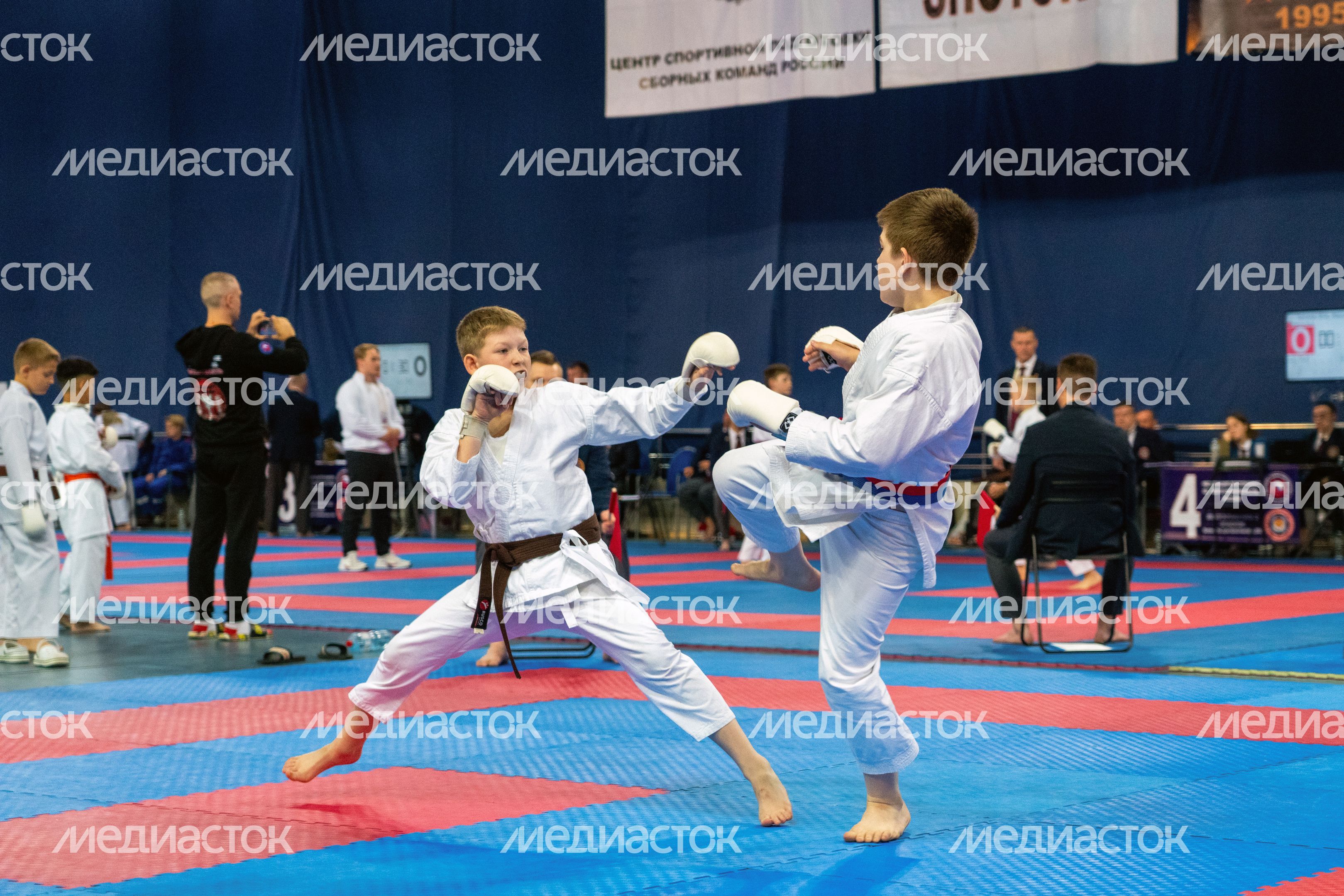 Чемпионат и Первенство России по восточному боевому единоборству сетокан в городе Видное Ленинского округа