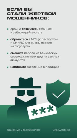 Лжекоммунальщики вертикаль 03