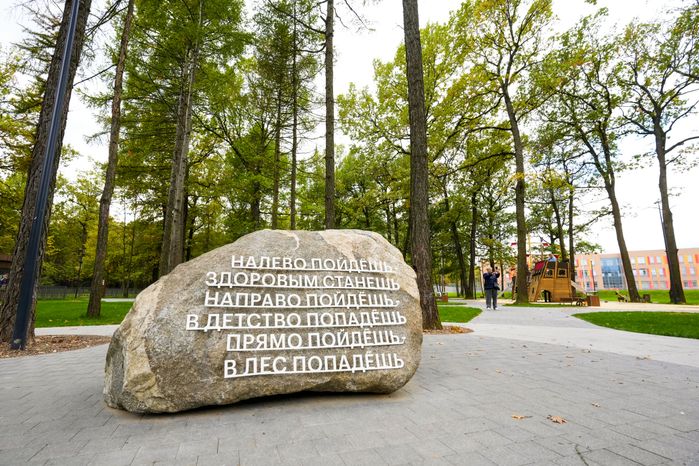В Подольске завершается благоустройство лесопарка "Дубрава"