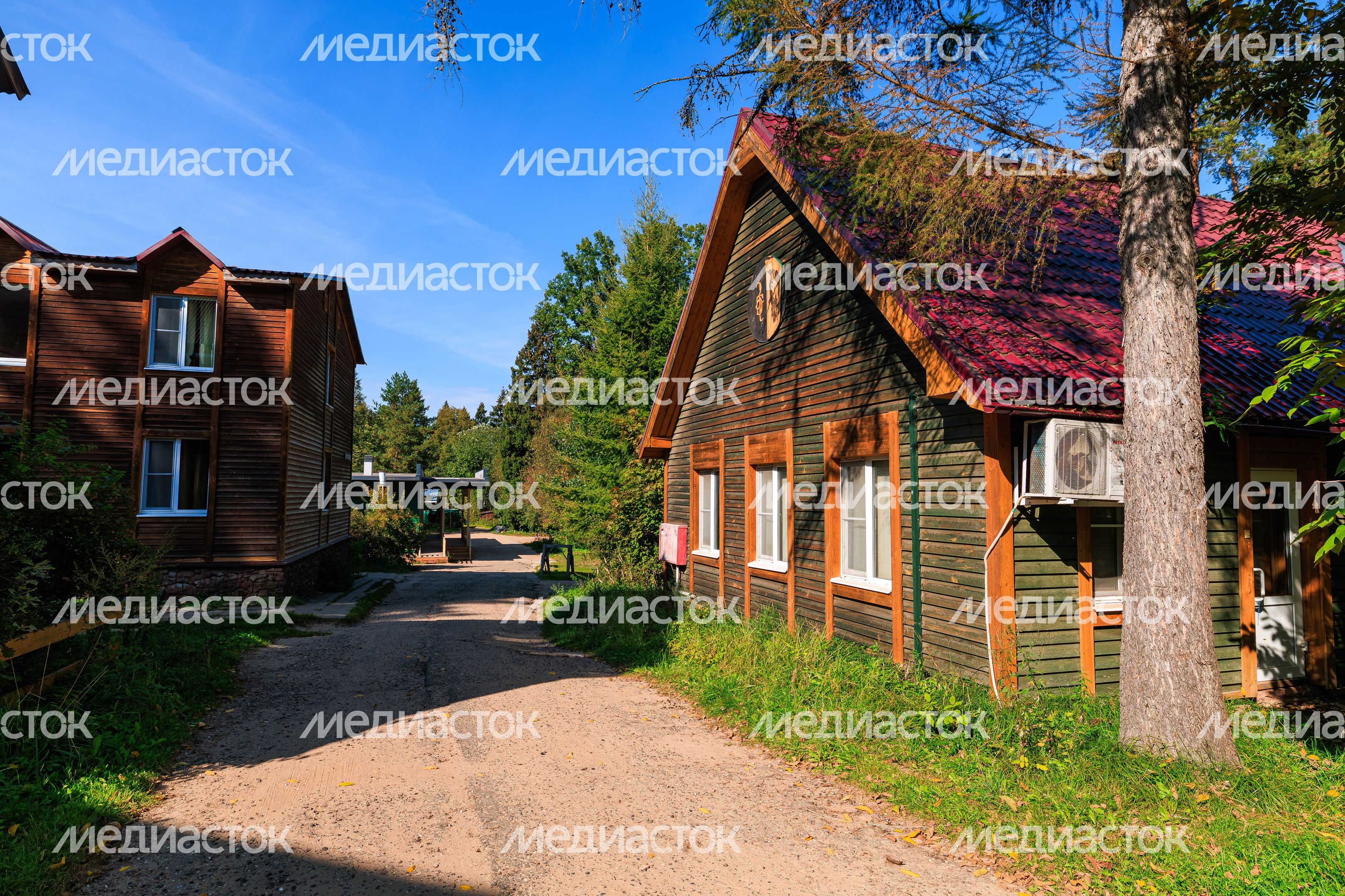 Поселок Нижние дачи на территории Звенигородской биологической станции МГУ