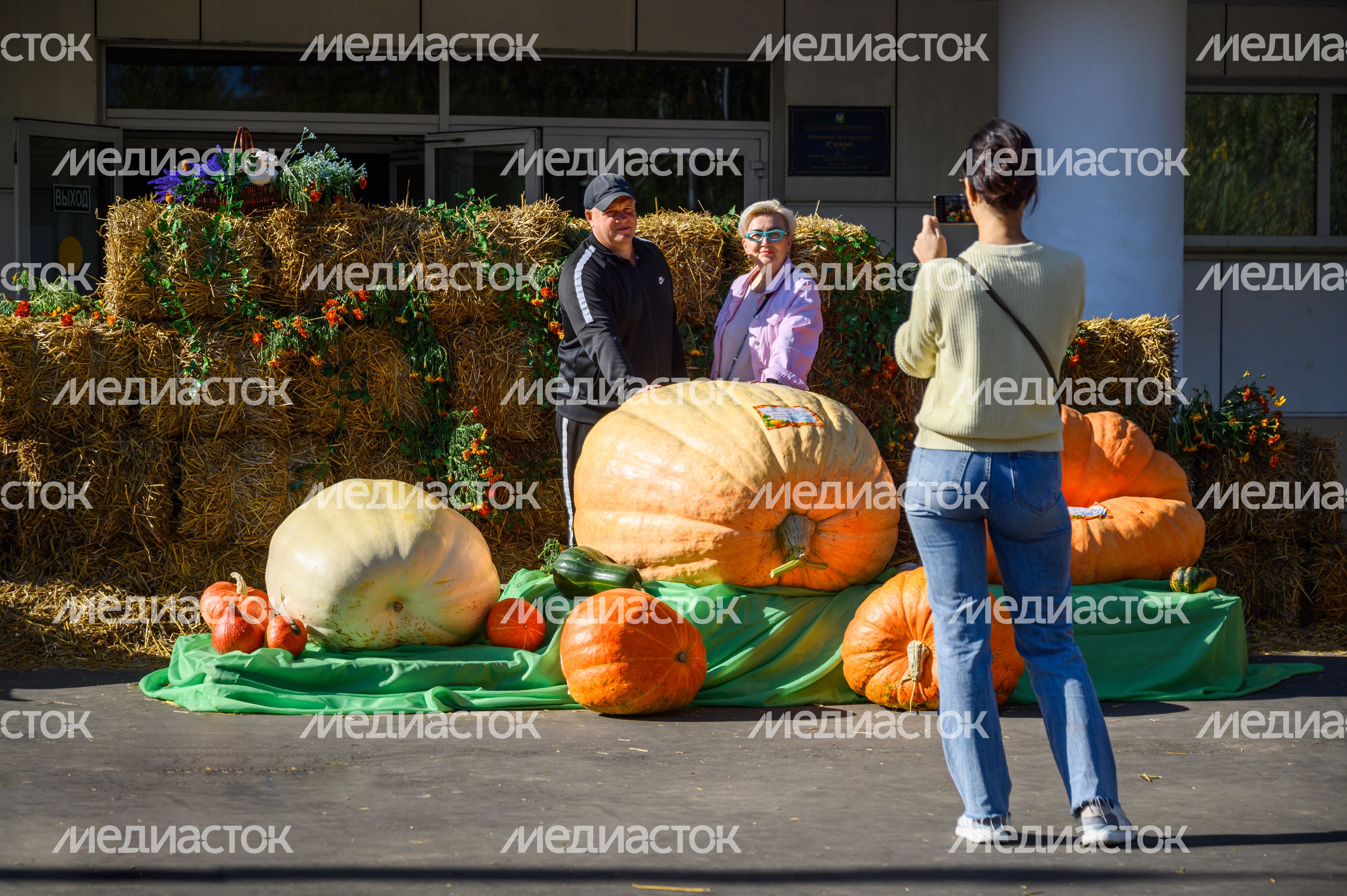 Выставка-ярмарка «Дары Подмосковья» в Луховицах Выставка-ярмарка «Дары Подмосковья» в Луховицах