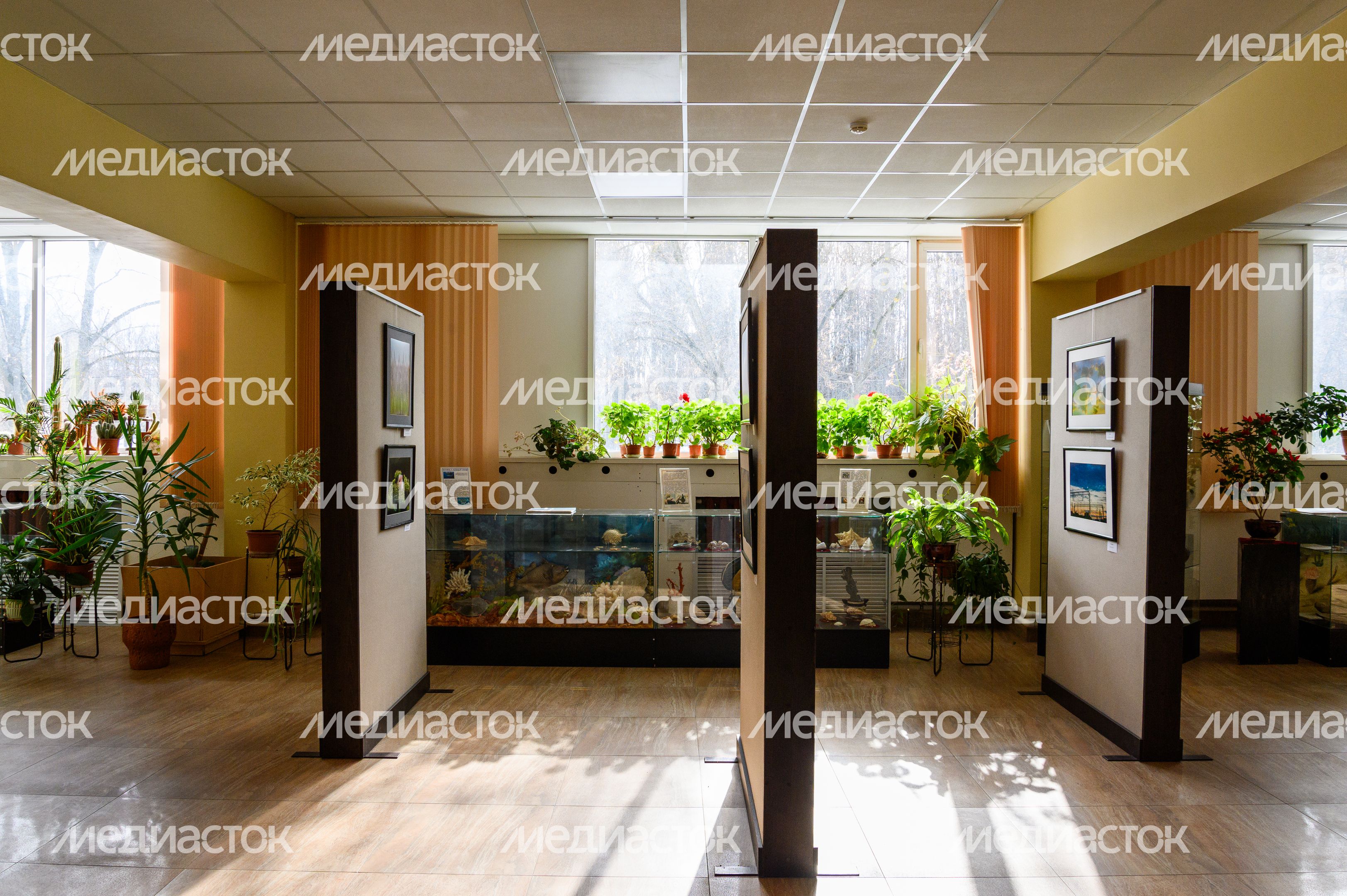 Пущинский музей экологии и краеведения
