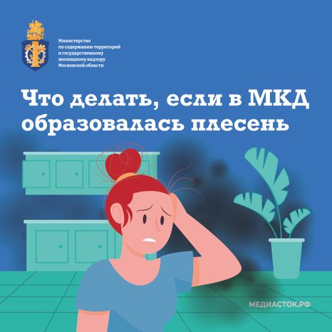 Плесень квадрат 01