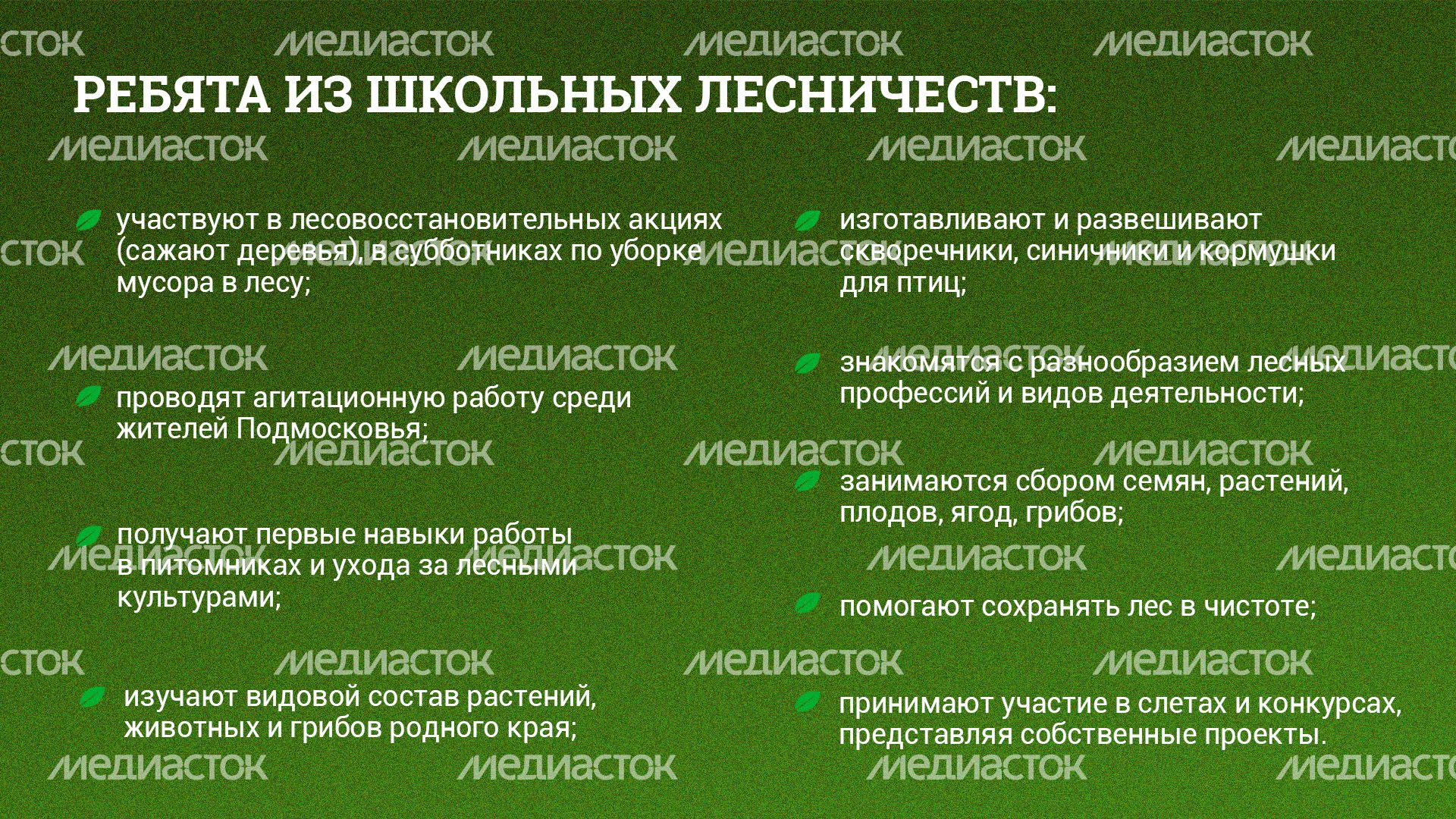 Школьные лесничества