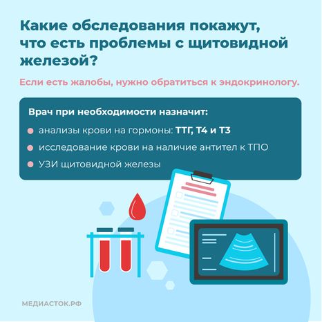 щитовидная железа семь вопросов квадрат 08