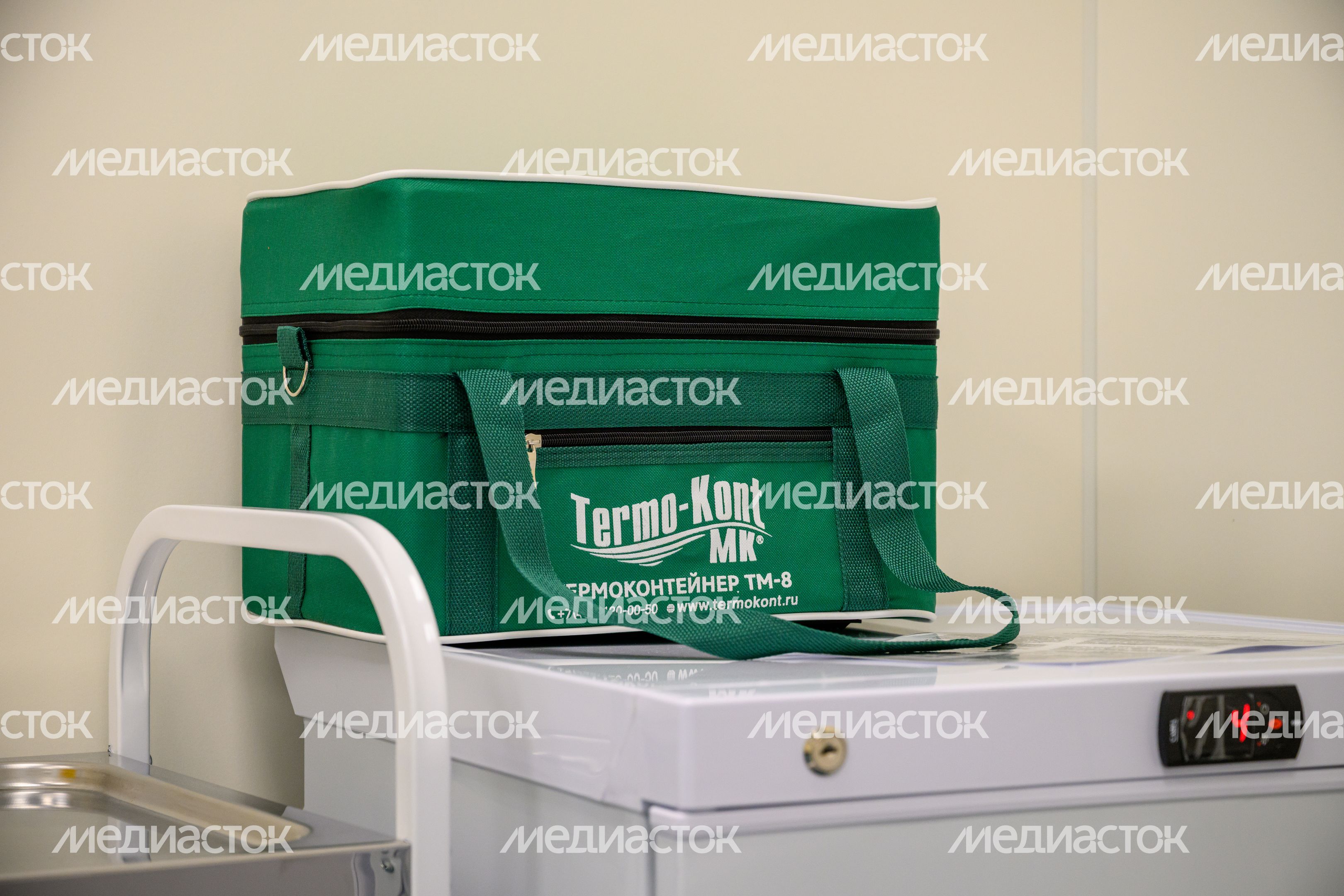 Термоконтейнер для анализов в фельдшерском здравпункте поселка Пустоши округа Шатура Термоконтейнер для анализов в фельдшерском здравпункте поселка Пустоши округа Шатура