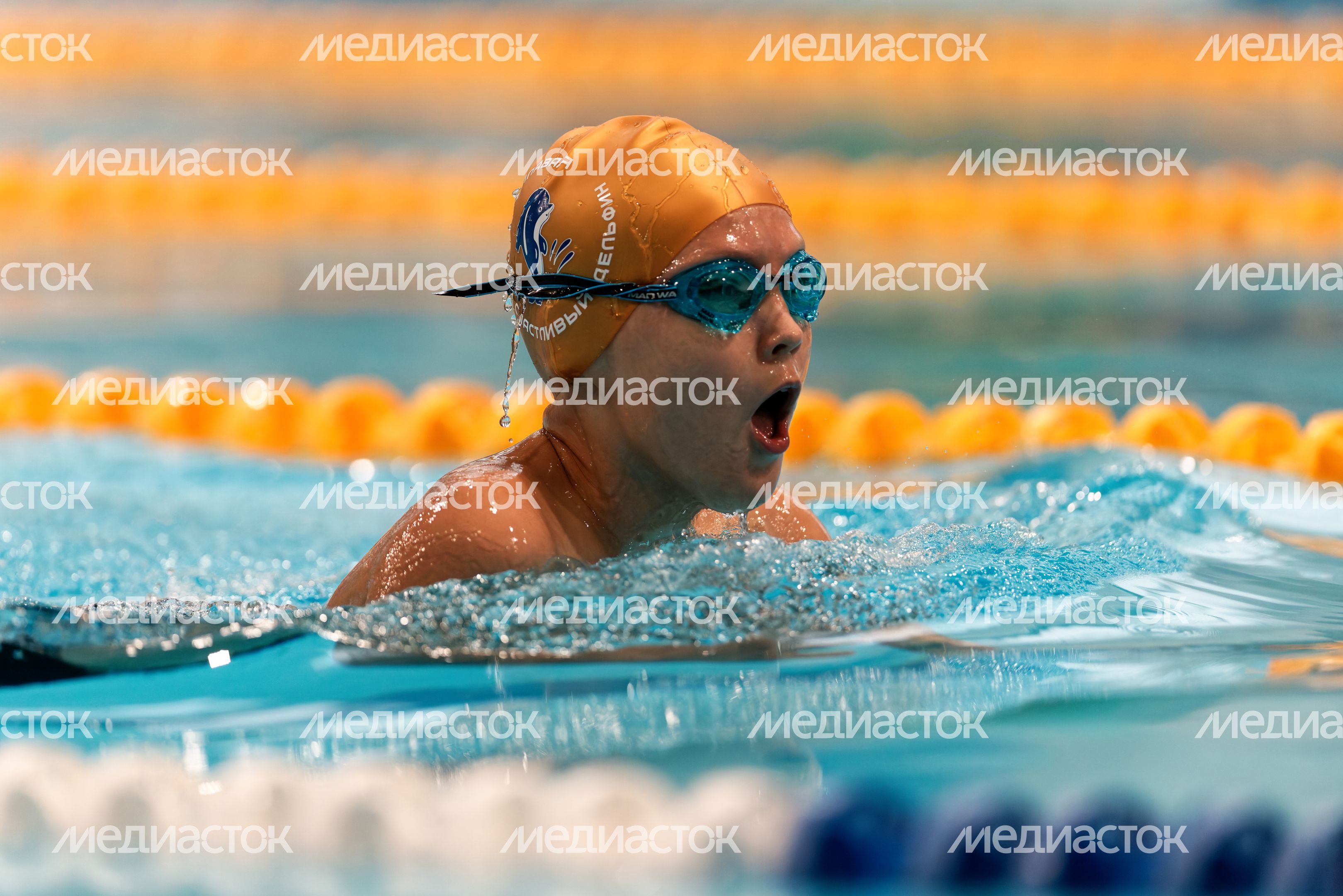 Первый турнир нового сезона Кубка чемпионов Swimcup по плаванию Первый турнир нового сезона Кубка чемпионов Swimcup по плаванию