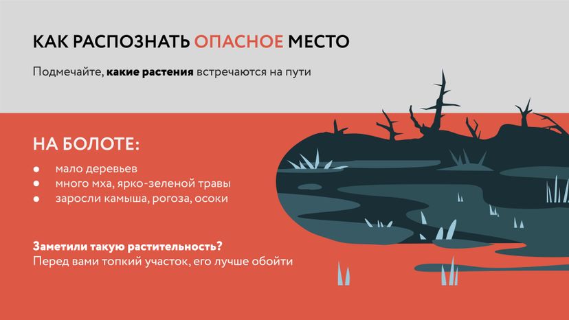Болото-Горизонталь-04.jpg