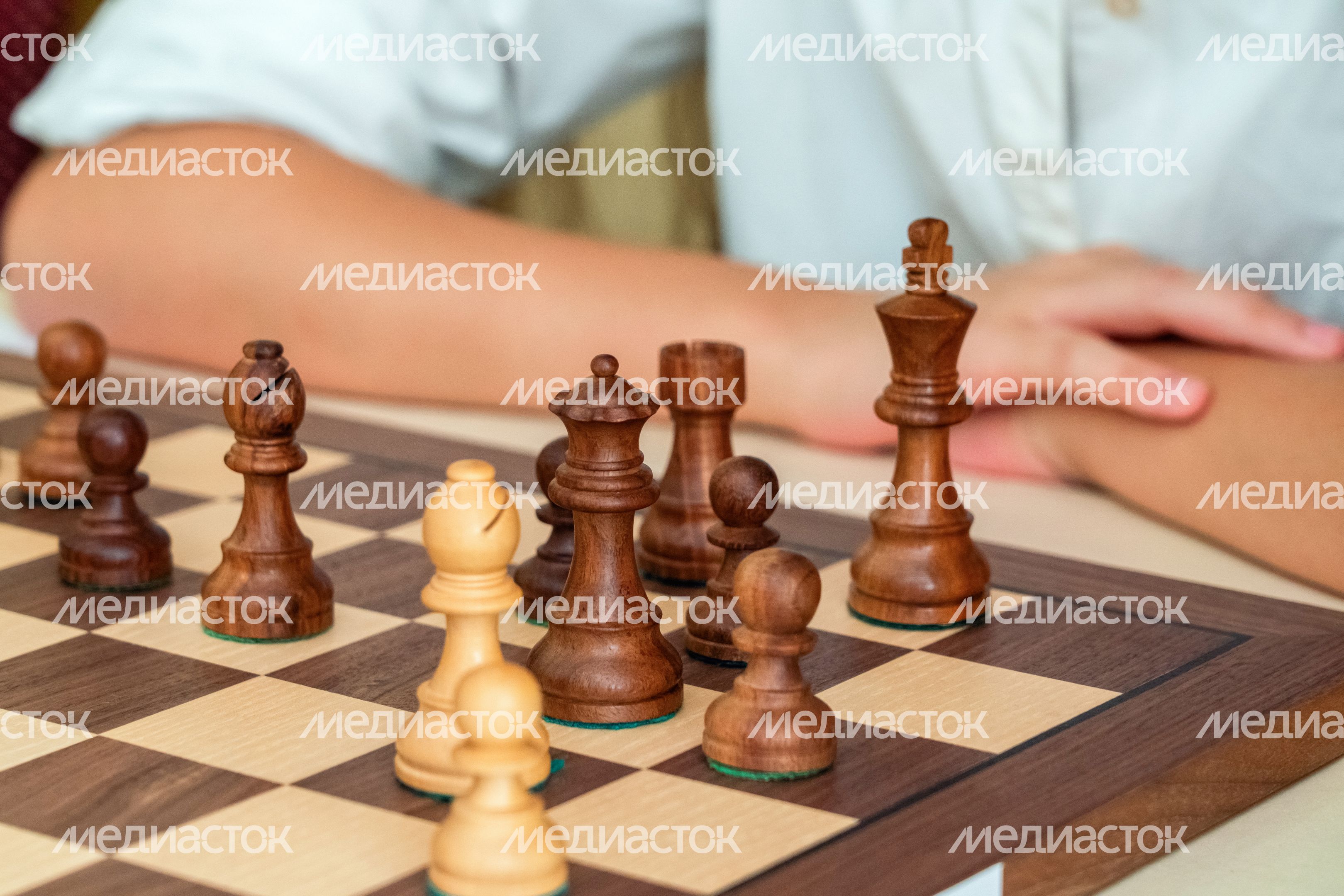 Первенство Московской области по шахматам в Одинцовском округе Первенство Московской области по шахматам в Одинцовском округе