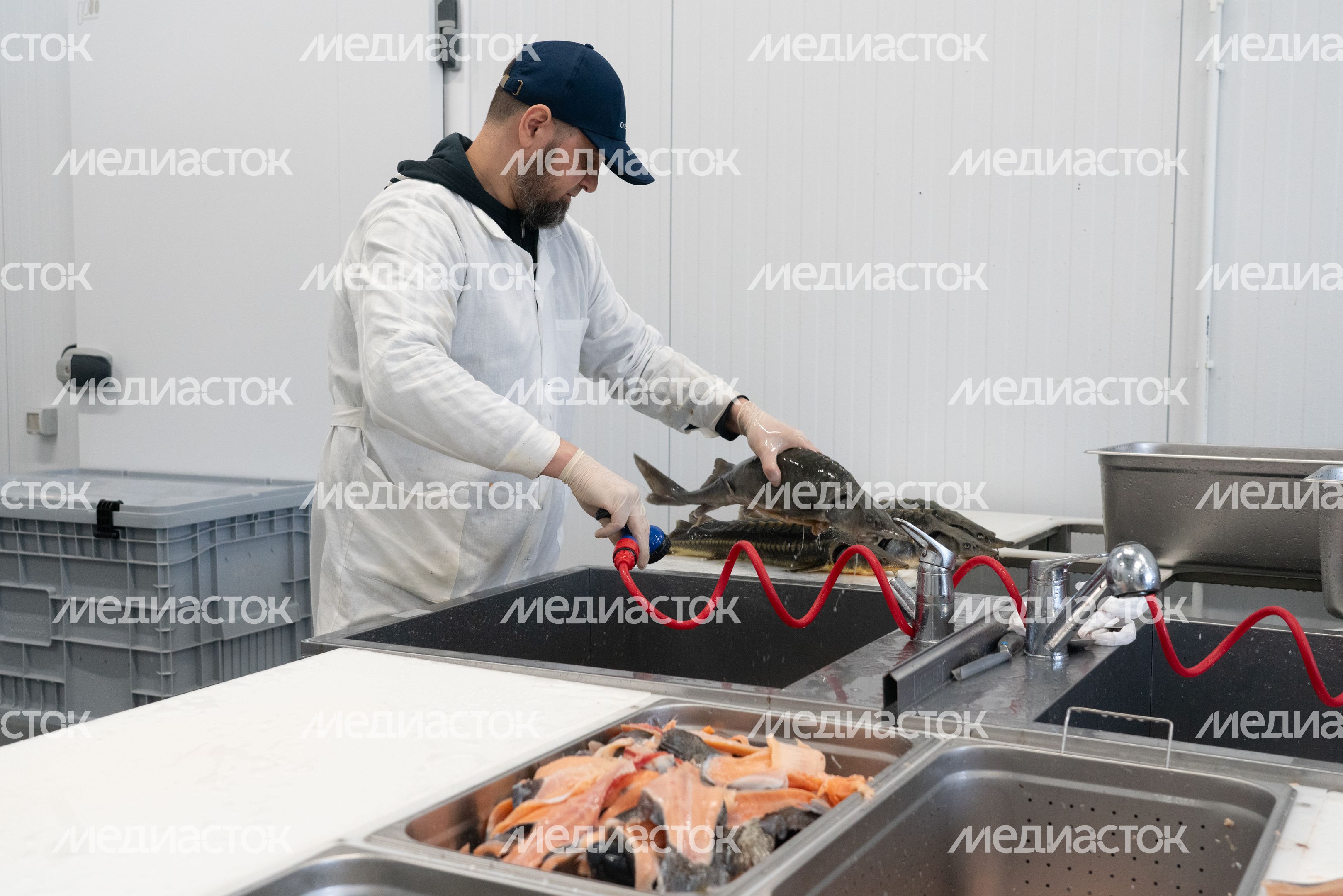 Мансуровское рыбоводное хозяйство под Истрой Мансуровское рыбоводное хозяйство под Истрой