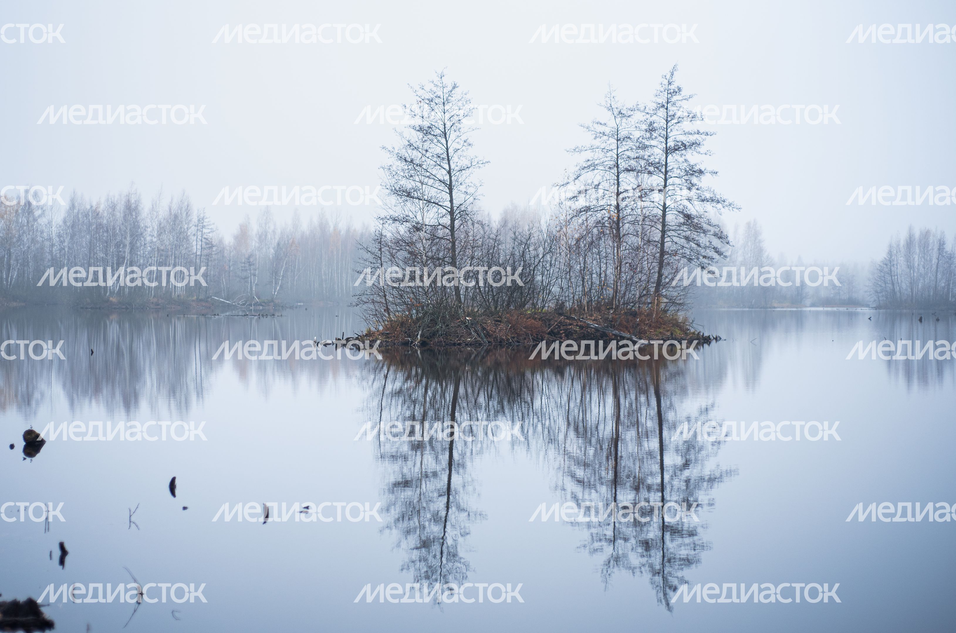 Шатурские болота