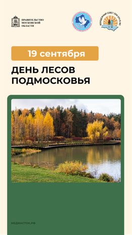 19 сентября вертикаль 02