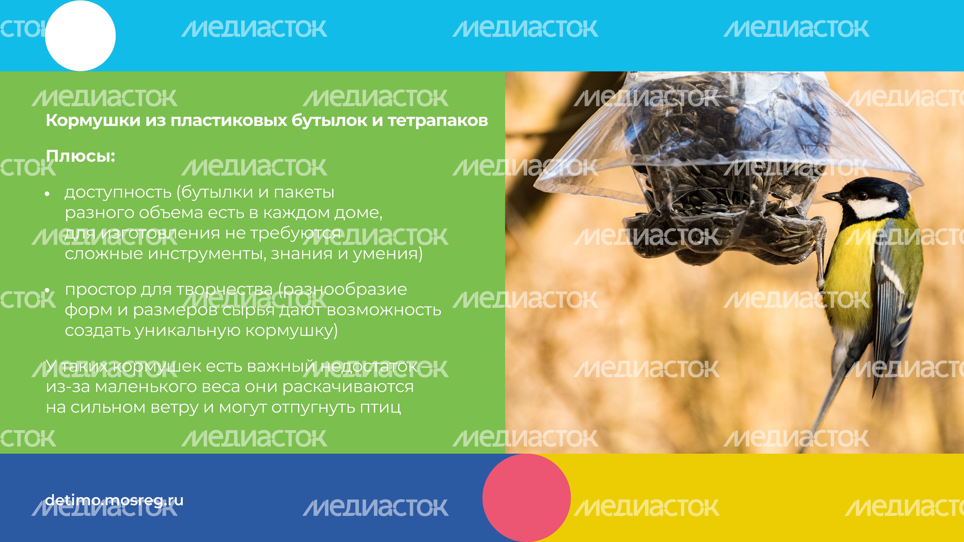 синичкин_день_горизонталь_07.jpg