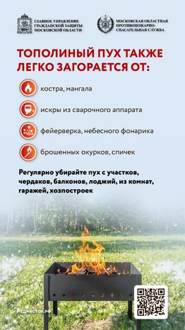 Огнеопасно тополиный пух вертикаль 02