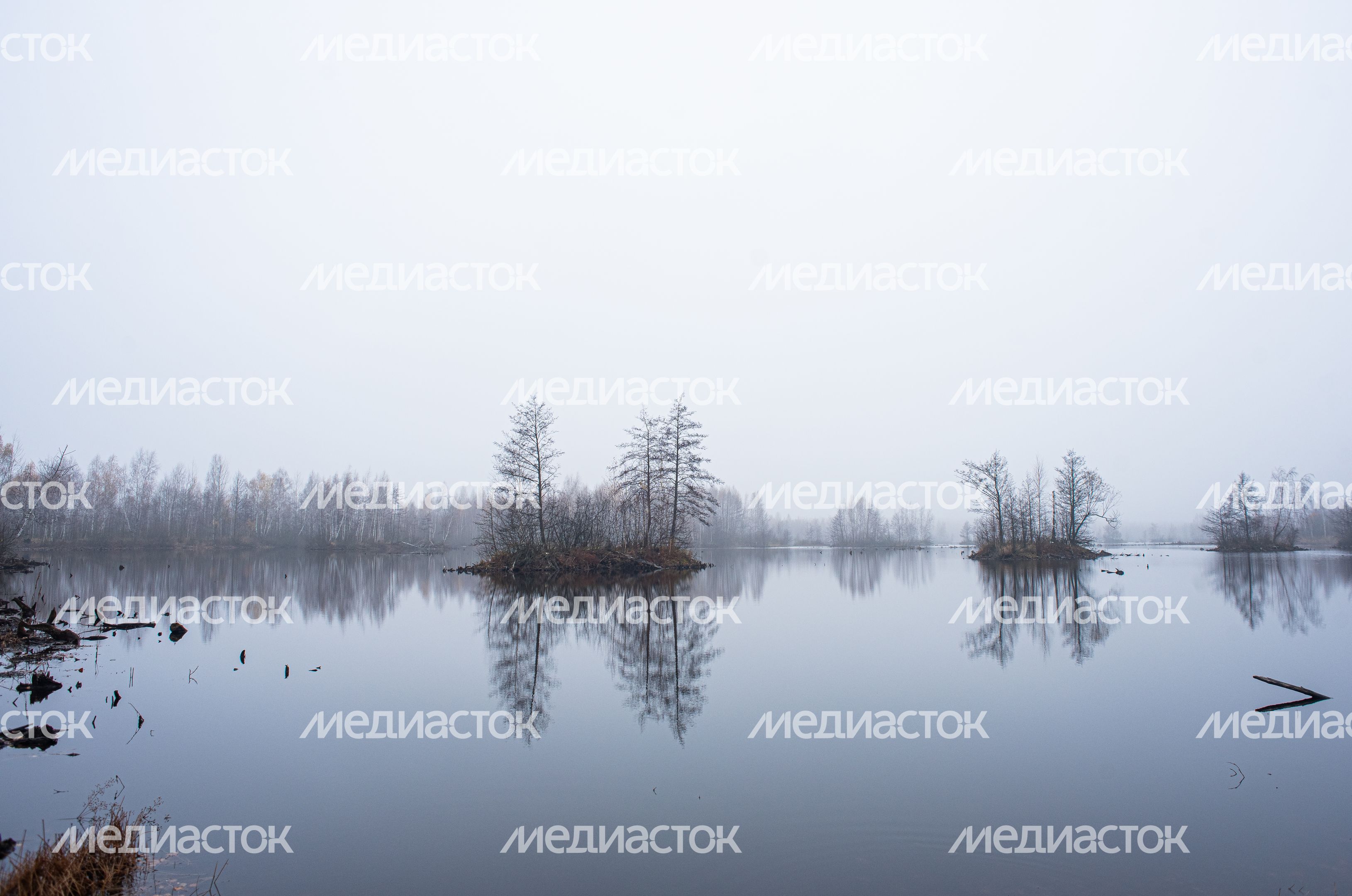 Шатурские болота