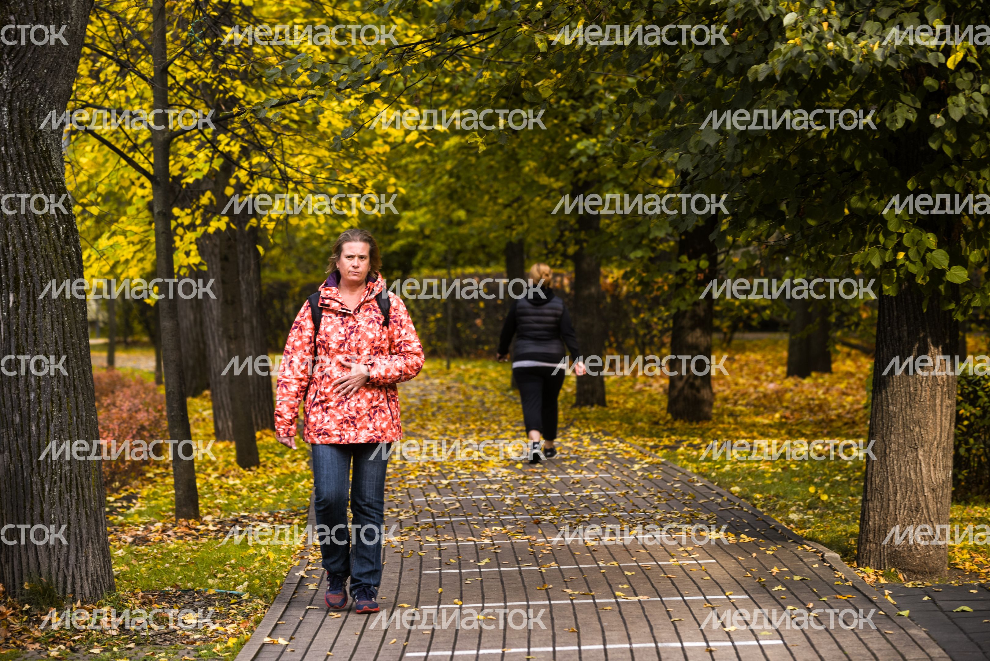 Золотая осень в парке «Сокольники»