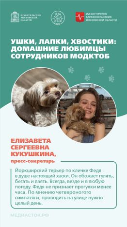 Ушки, лапки, хвостики вертикаль 03