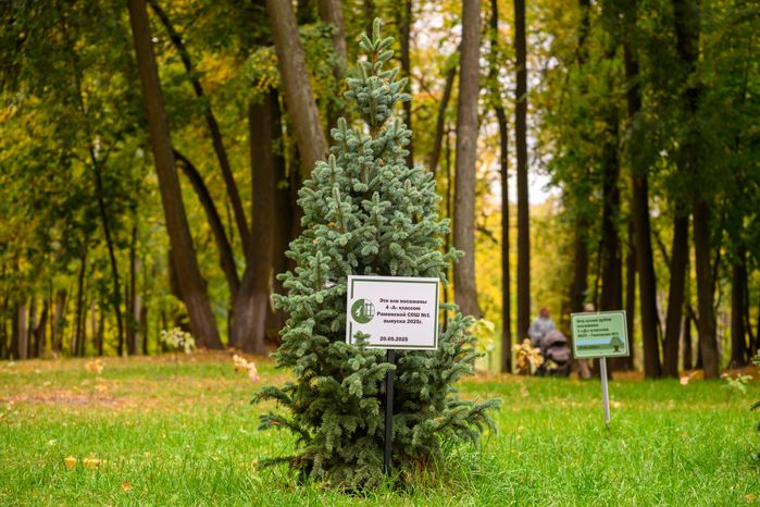 Раменский городской парк культуры и отдыха. Осень