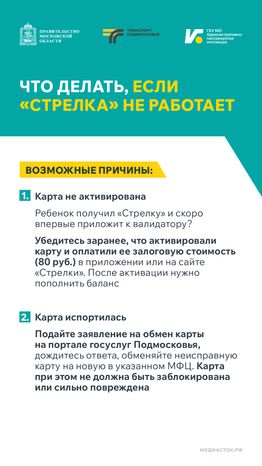 Поездки школьников в автобусах Вертикаль 02