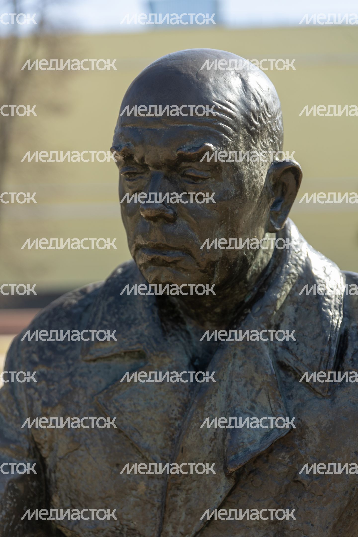 Памятник Мещерякову