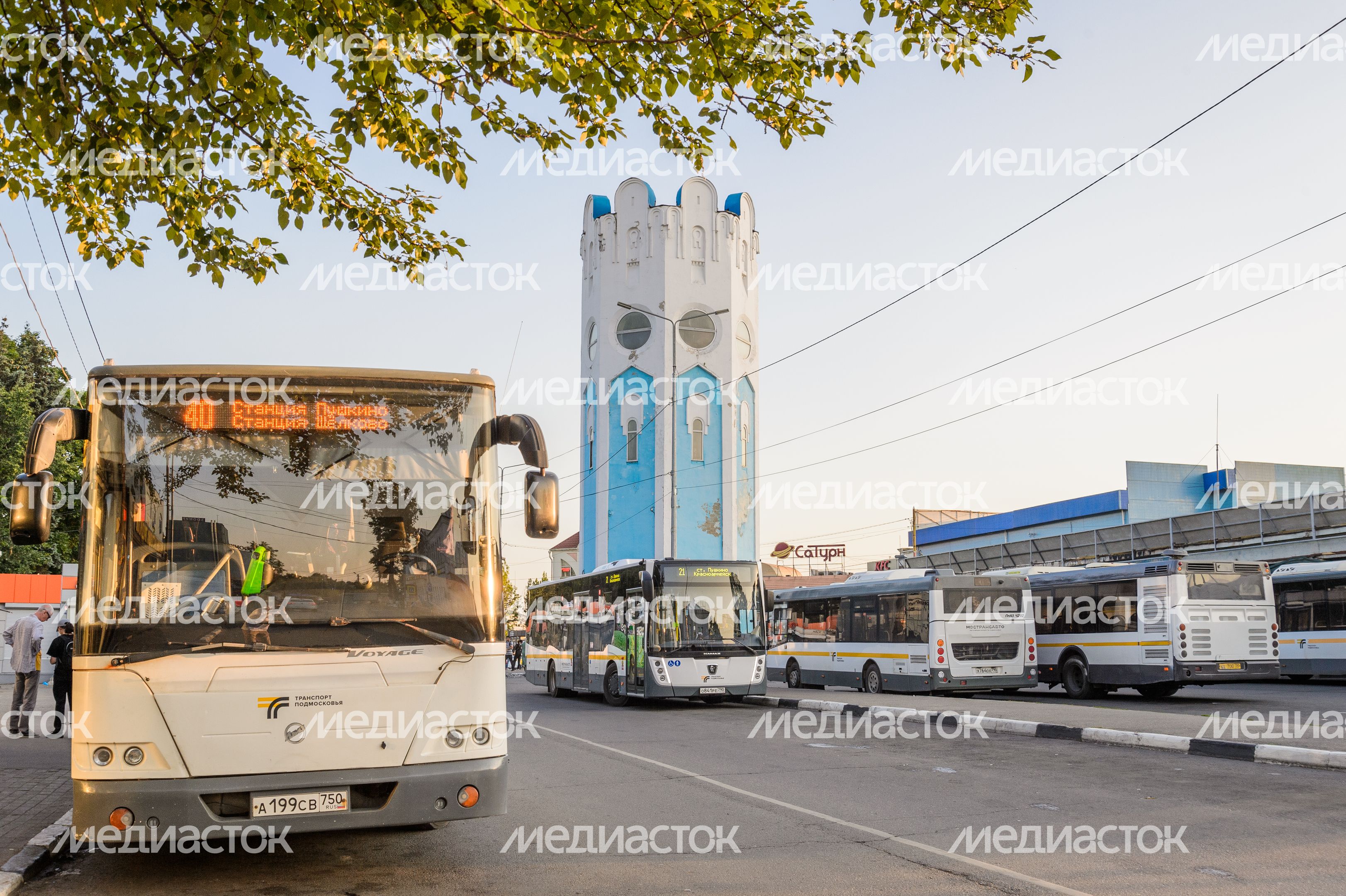 Пушкино. Водонапорная башня Пушкино. Водонапорная башня