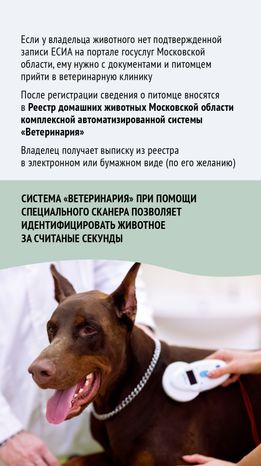 Зарегистрировать домашнее животное ред 2-вертикаль-08.png
