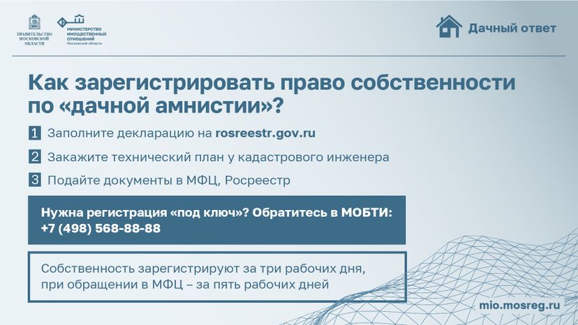 Горизонталь_Дачная амнистия_04 -100.jpg